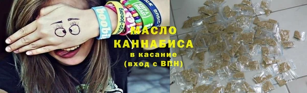 индика Абинск