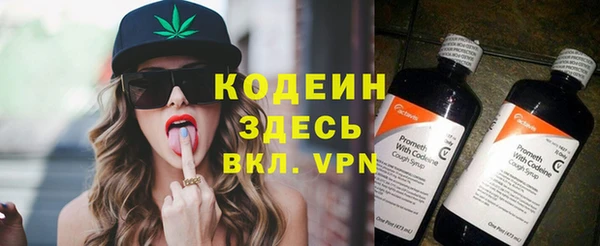 индика Абинск