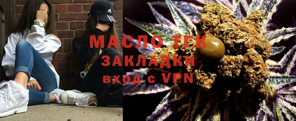 индика Абинск