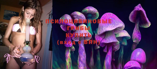 индика Абинск