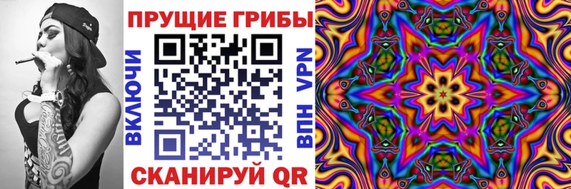 Галлюциногенные грибы Psilocybine cubensis  Орск 