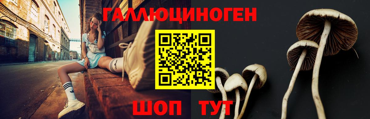 Галлюциногенные грибы прущие грибы Орск
